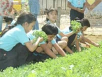 Horticultural Zone - The Achievers School